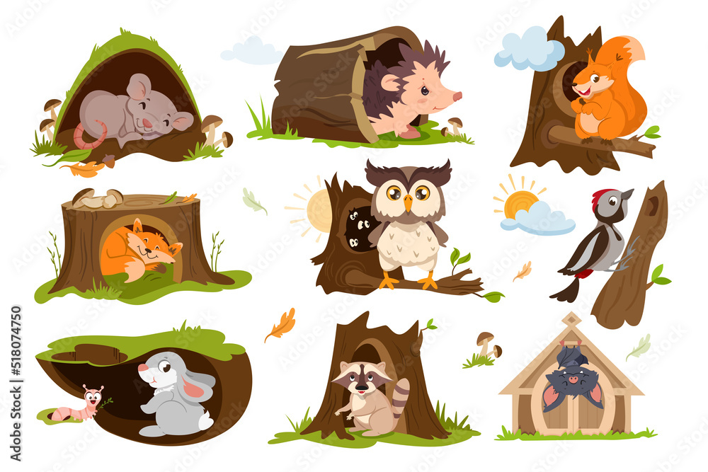 Cute forest animals in natural habitats: mouse, hedgehog, squirrel, fox, owl, woodpecker, rabbit, raccoon, and bat.