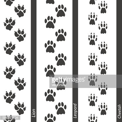 Black paw print patterns of lion, leopard, and cheetah on white vertical stripes with labeled species names.