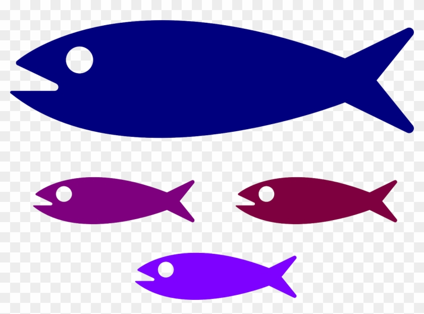Four stylized fish silhouettes in blue, purple, maroon, and violet on transparent background.