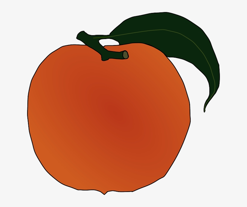 Orange Fruit Illustration - Vibrant Clipart for Food & Design Projects