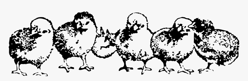 Adorable Baby Chicks Illustration - Free Clipart for Farm & Education Sites