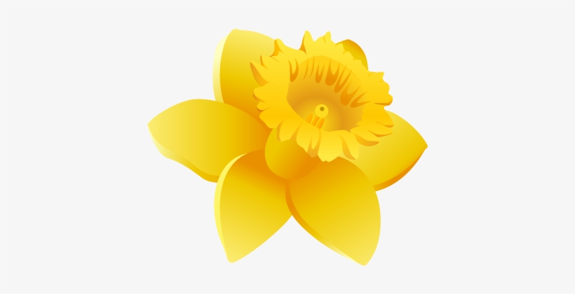 Growing Daffodils Stock Illustrations – 309 Growing Daffodils - Clip ...