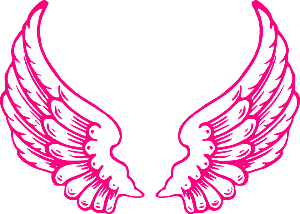 Vibrant pink angel wings illustration on black background, symmetrical and stylized with feather details.