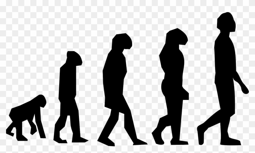 Silhouette sequence showing human evolution from quadrupedal ape to upright walking Homo sapiens.
