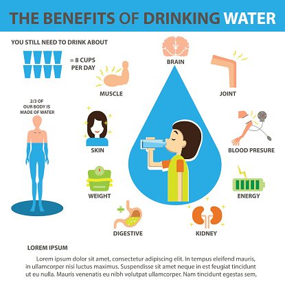 Infographic showing health benefits of drinking water including brain, muscle, joint, skin, weight, digestion, kidneys, blood pressure, and energy.