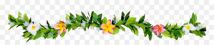 Luau Clipart Lei Hawaiian - Black And White Flower Leis, HD Png - Clip ...