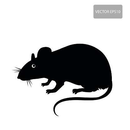 Rat Vector Illustration - High-Quality EPS10 Silhouette for Design Projects
