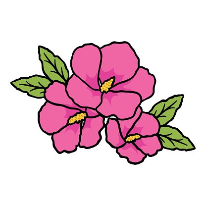 Pink hibiscus flowers with green leaves, hand-drawn illustration in bold outline style.