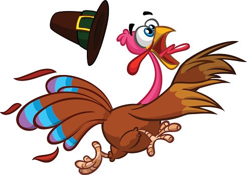 Cartoon turkey wearing a pilgrim hat, running with wide eyes and open beak in playful Thanksgiving-themed illustration.