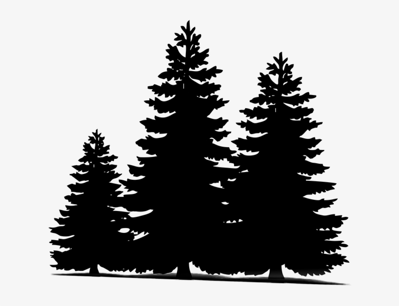 Pine Tree Silhouette Clipart - Free Vector Graphic for Nature Designs