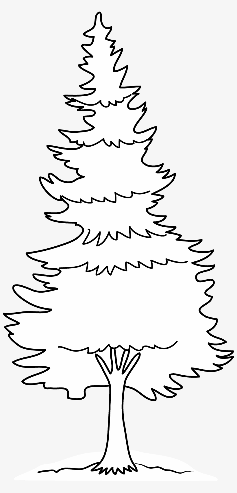 Evergreen Tree Coloring Page - Free Printable Outline for Kids & Artists