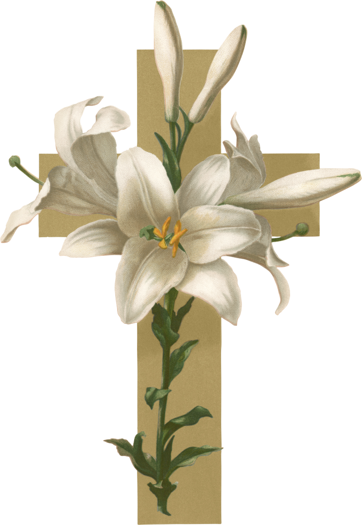 Clip Art Easter Lily Borders And Frames, PNG, 1497x1501px, Easter ...