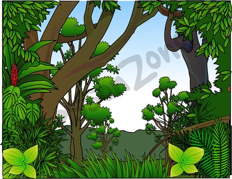 rainforest habitats - Clip Art Library