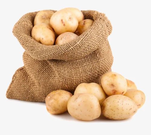 Fresh yellow potatoes spilling from a rustic burlap sack on a white background.