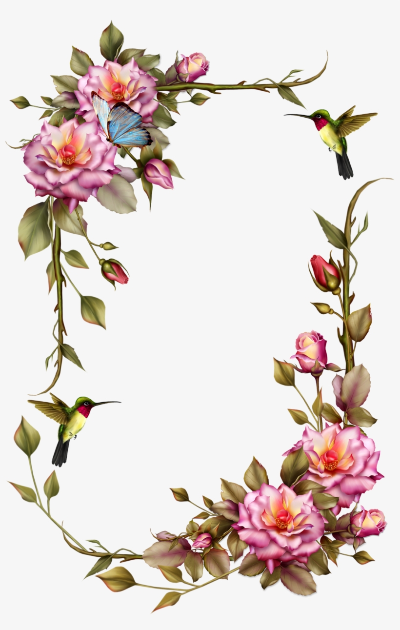 Pink roses, hummingbirds, and a blue butterfly form an elegant floral frame on white background.