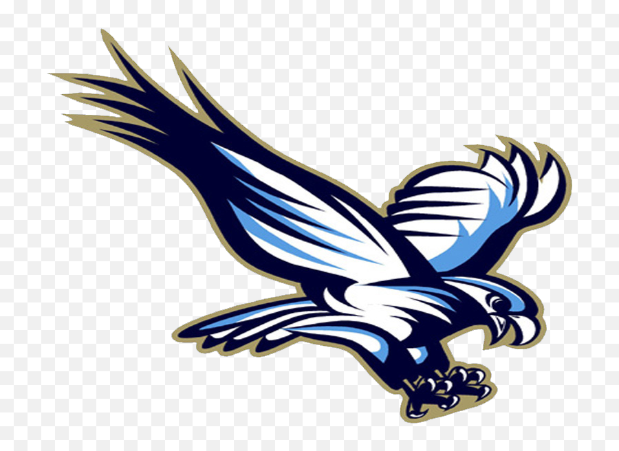 blue falcon logo