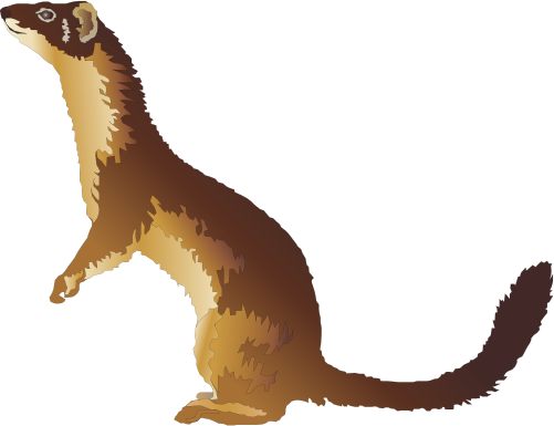 A stylized illustration of a standing weasel with brown and cream fur against a black background.