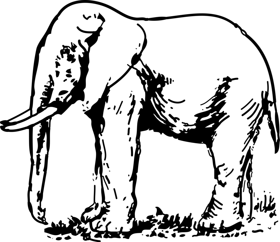 Blank image placeholder with no visible content.