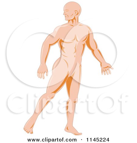 Anatomical illustration of a muscular male human figure in profile, showing full body musculature and posture.