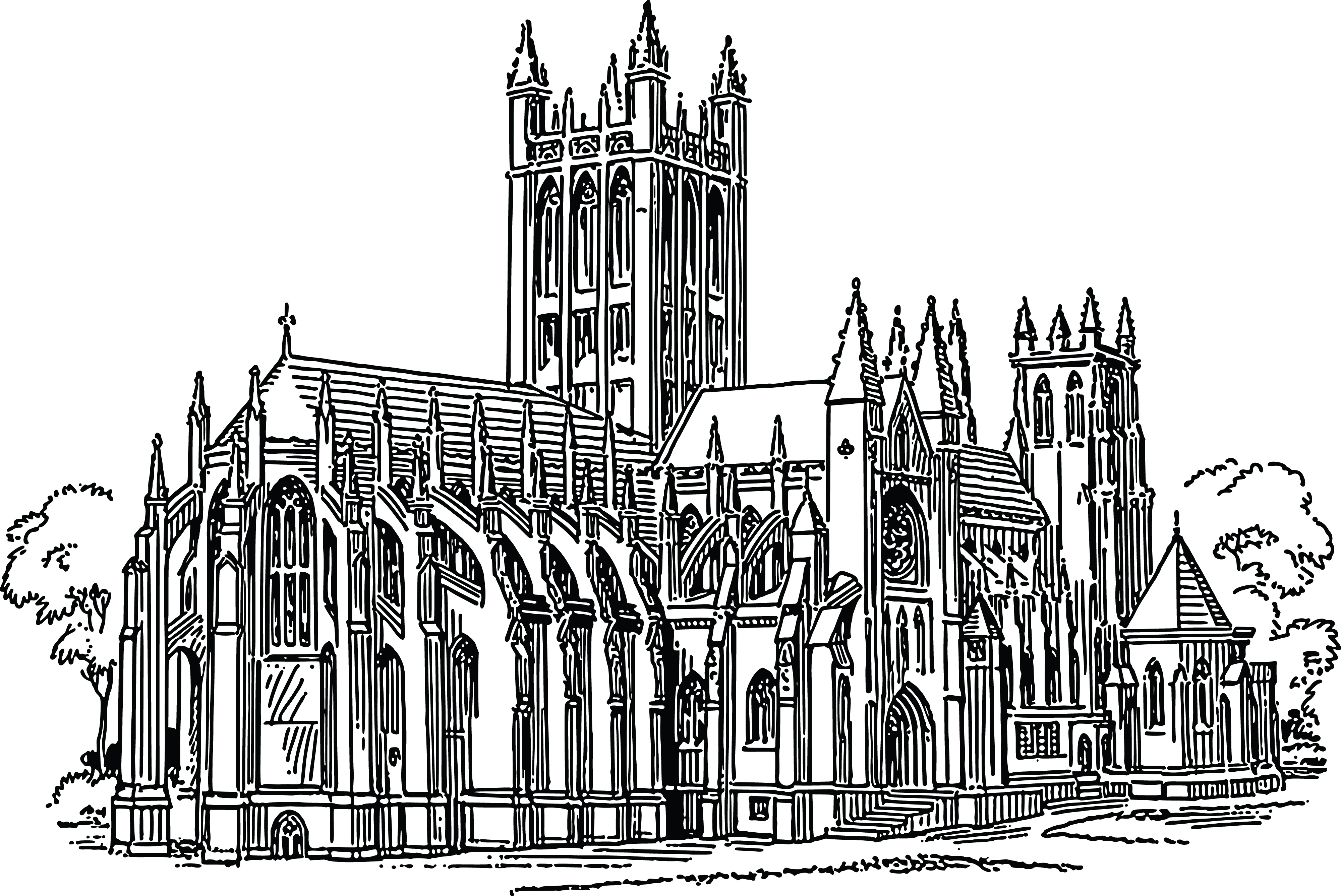 Gothic Cathedral Architectural Illustration - Detailed Line Art