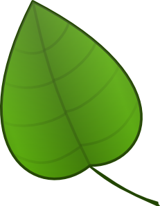 Green Leaf Illustration - Nature, Ecology & Design Resource