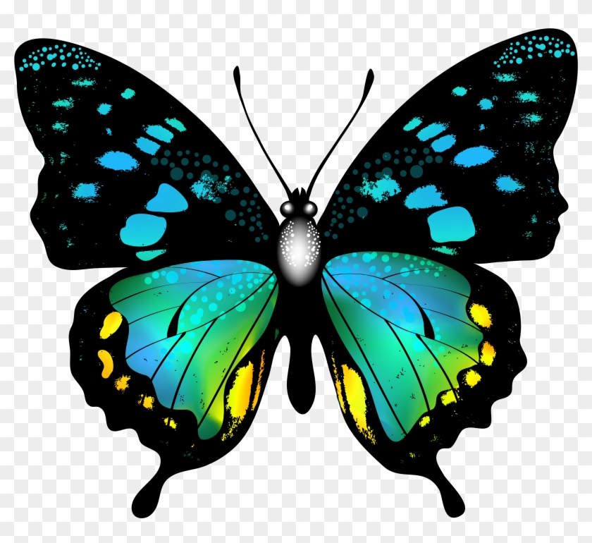 Beautiful Blue-Green Butterfly Illustration | Free PNG Download