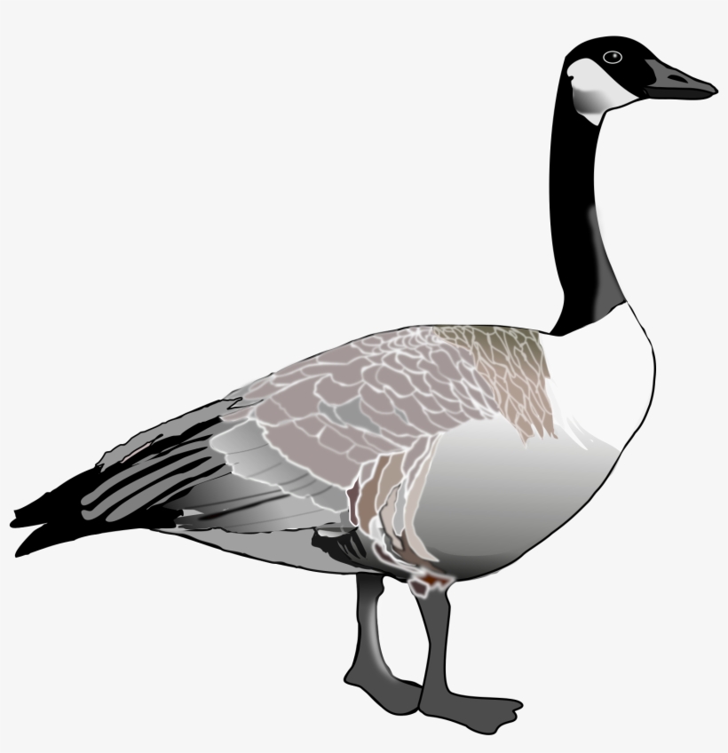 Premium Vector | Goose cartoon colored clipart illustration - Clip Art ...