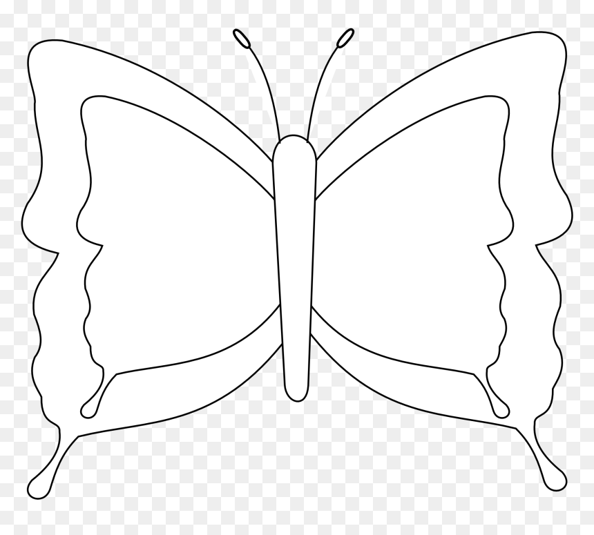 Butterfly Coloring Page Template - Free Printable Outline
