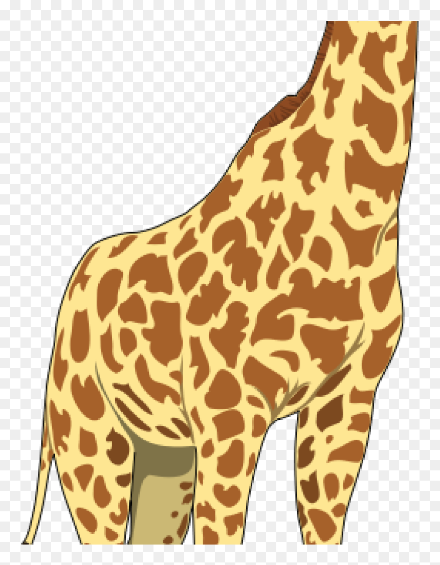 Illustration of a giraffe’s side profile showing its long neck, spotted coat, and legs against a transparent background.