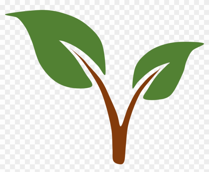 Simple green sprout with two leaves and brown stem on transparent background.