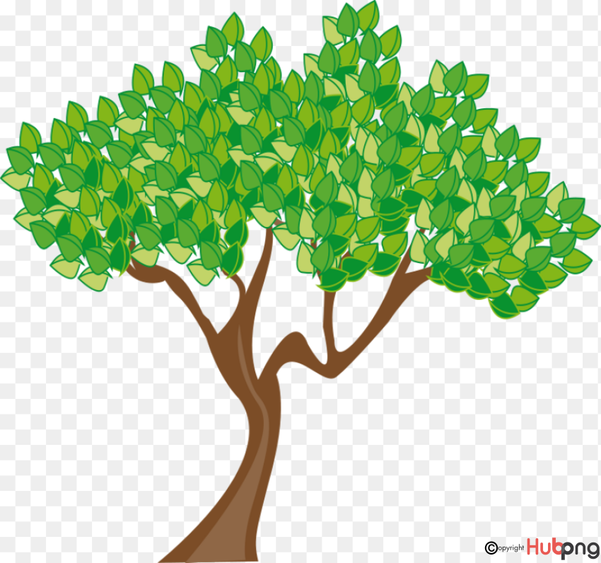 Stylized green leafy tree with brown trunk and branches on transparent background.
