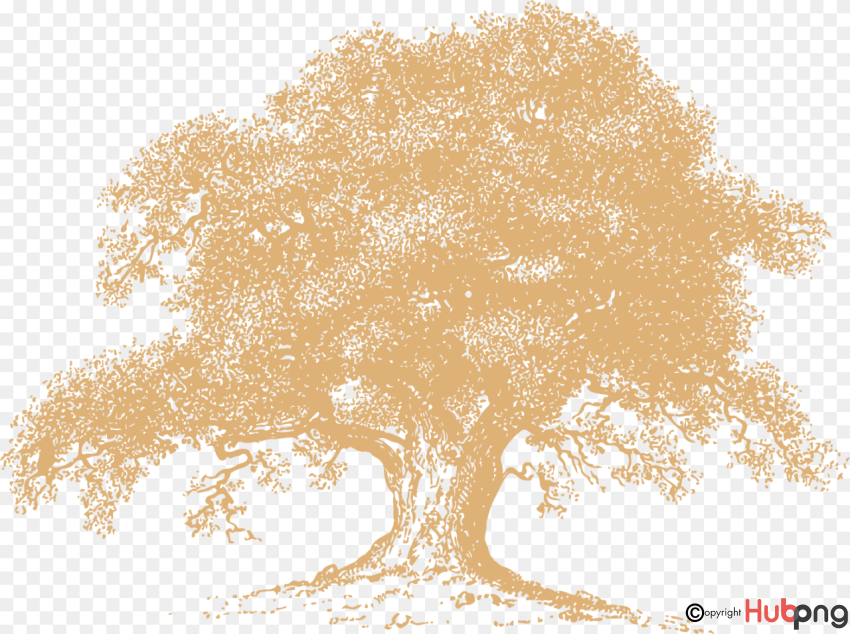 Stylized golden oak tree with textured foliage and sprawling branches on transparent background.