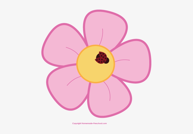 Pink five-petal flower with yellow center and red ladybug on white background.