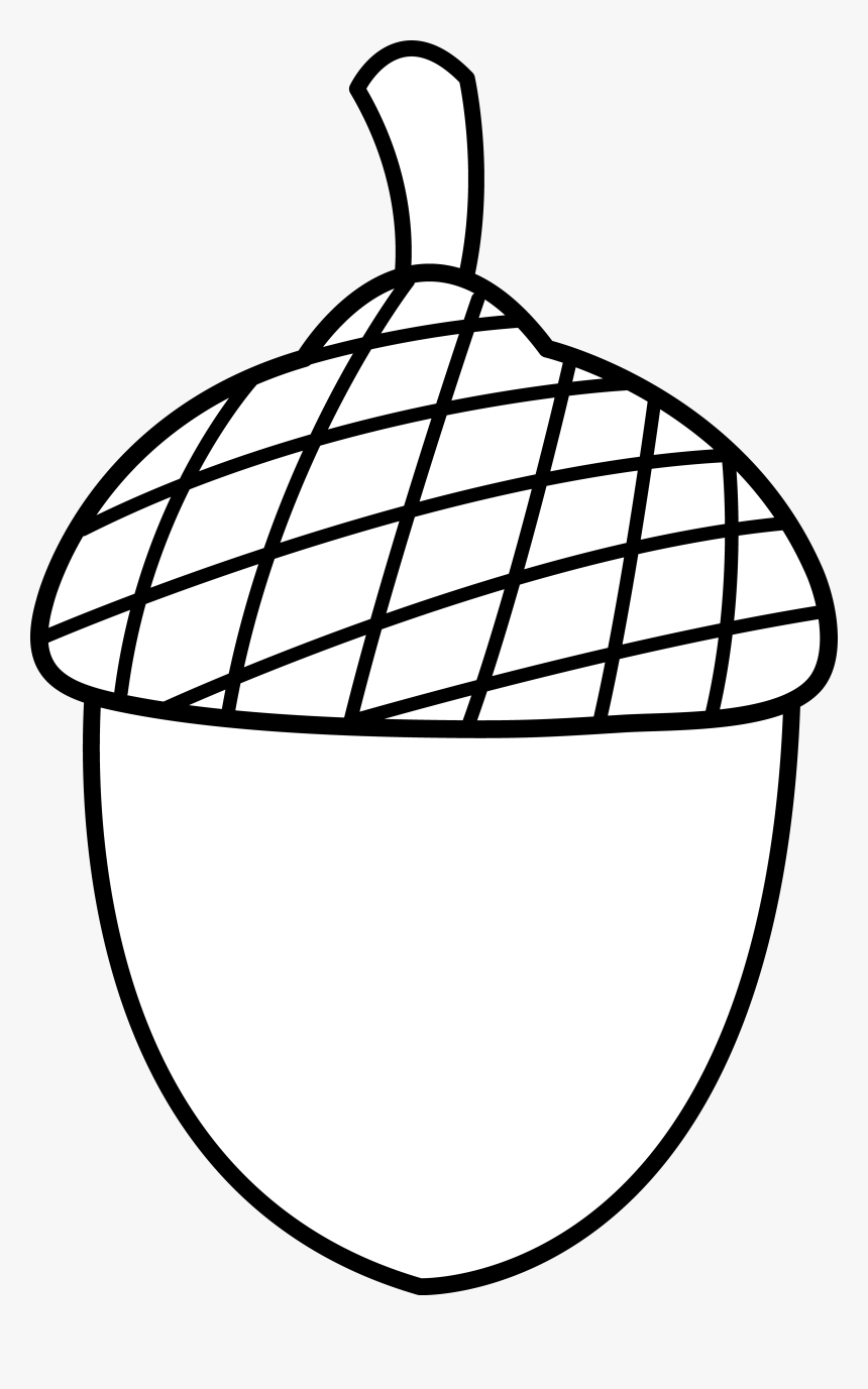 Simple black-and-white line drawing of an acorn with a textured cap and stem.