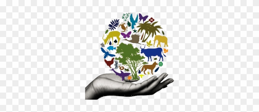 A grayscale hand cradling a colorful globe composed of diverse animals, plants, and insects symbolizing biodiversity and ecological stewardship.
