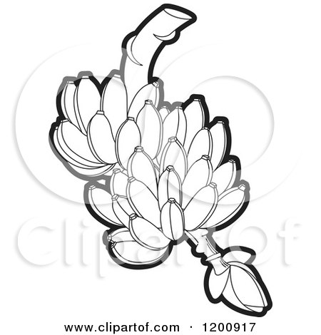 Banana Bunch Line Art Illustration - Free Clipart Download