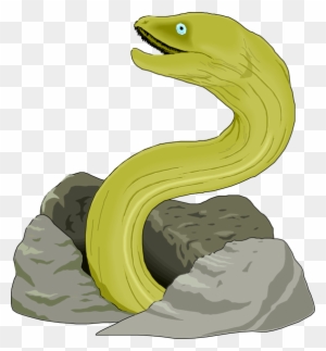 Yellow Eel Illustration - Free PNG Clipart for Marine Biology & Education