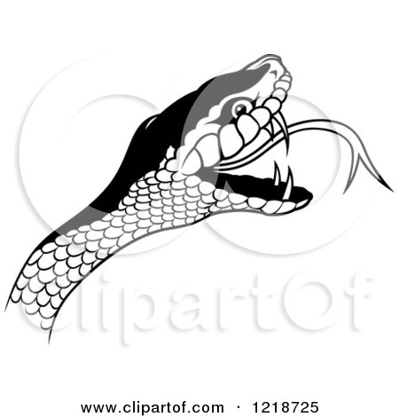 Snake Head Line Vector Illustration Royalty Free SVG, Cliparts - Clip ...