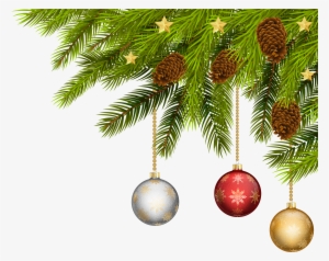 Pine branch with pinecones and three hanging Christmas ornaments-silver, red, and gold-against a white background.