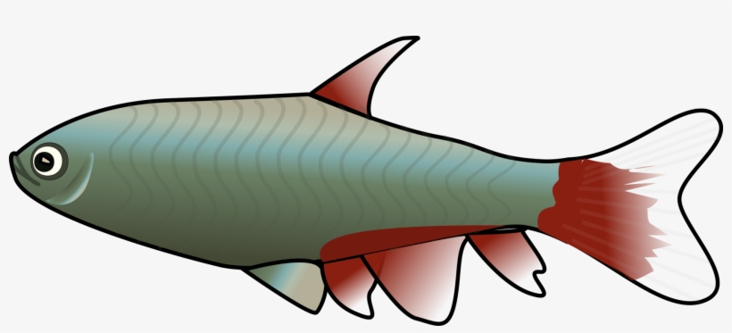 Cartoon Fish PNG Transparent Images Free Download