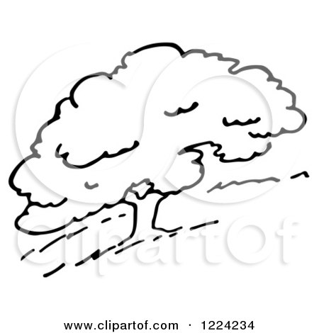 Windy Tree Clipart - Free Black-and-White Illustration for Educational & Design Use
