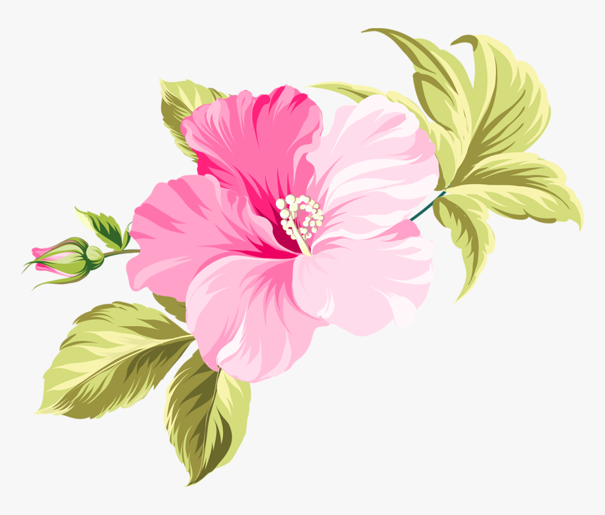 Pink Hibiscus Flower Illustration - Free Download & Usage Guide