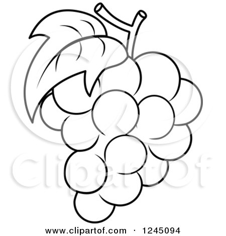 Black-and-white line drawing of a grape cluster with leaf and stem, suitable for coloring or illustration.