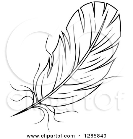 White Feather PNG Transparent Clipart​  Gallery Yopriceville -  High-Quality Free Images and Transparent PNG Clipart