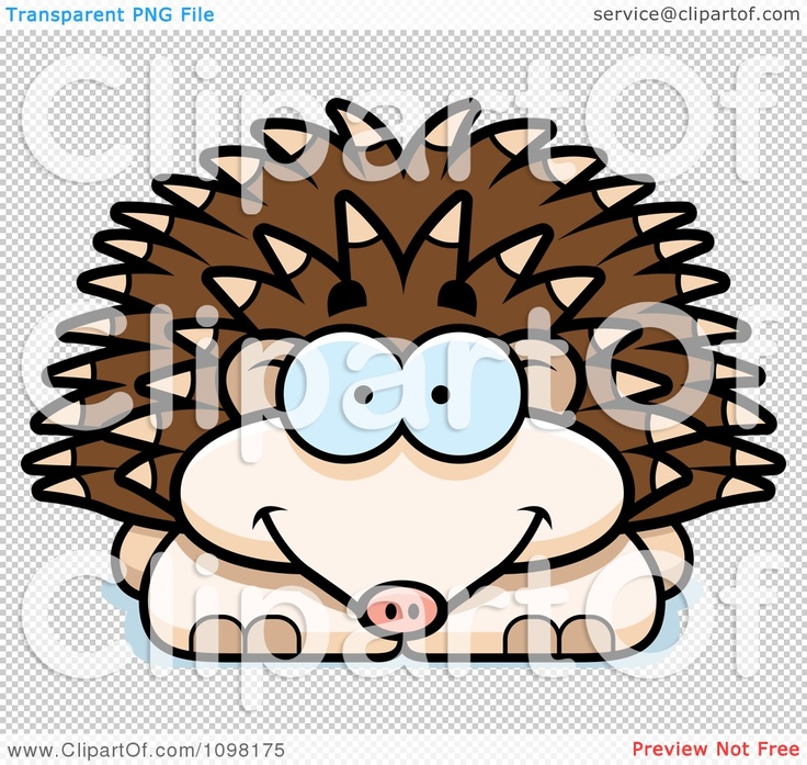 Cute cartoon porcupine with big blue eyes, brown quills, and a smiling face on transparent background.