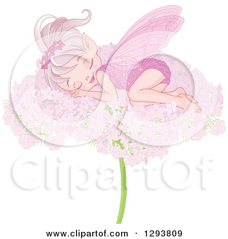 A sleeping fairy with pink wings and floral crown rests on a large pink flower.