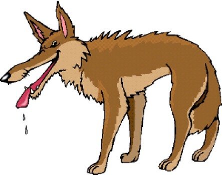 Cartoon coyote with exaggerated long snout, open mouth, drooling tongue, and shaggy brown fur standing sideways.