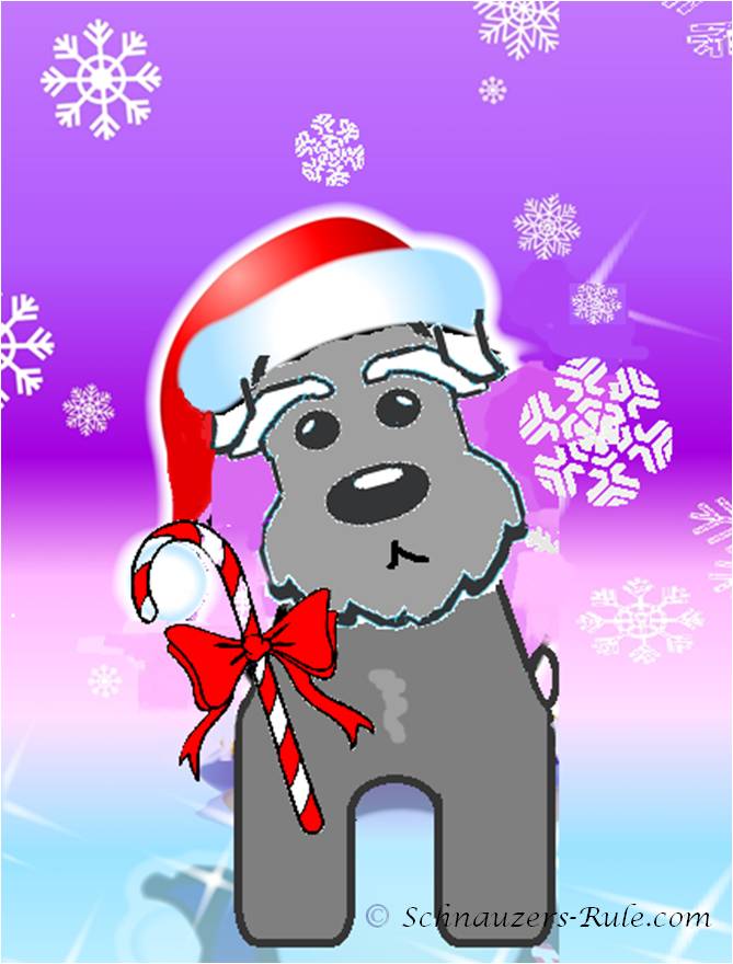 Gray schnauzer wearing Santa hat and holding candy cane against snowy purple background.
