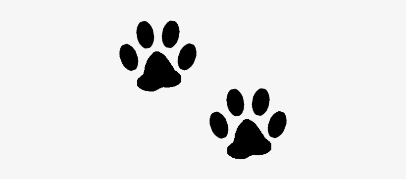 Two black stylized paw prints on a white background, suggesting animal tracks or pet-related content.