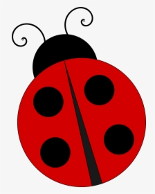 Ladybug Illustration - Free Clipart for Educational and Creative Projects